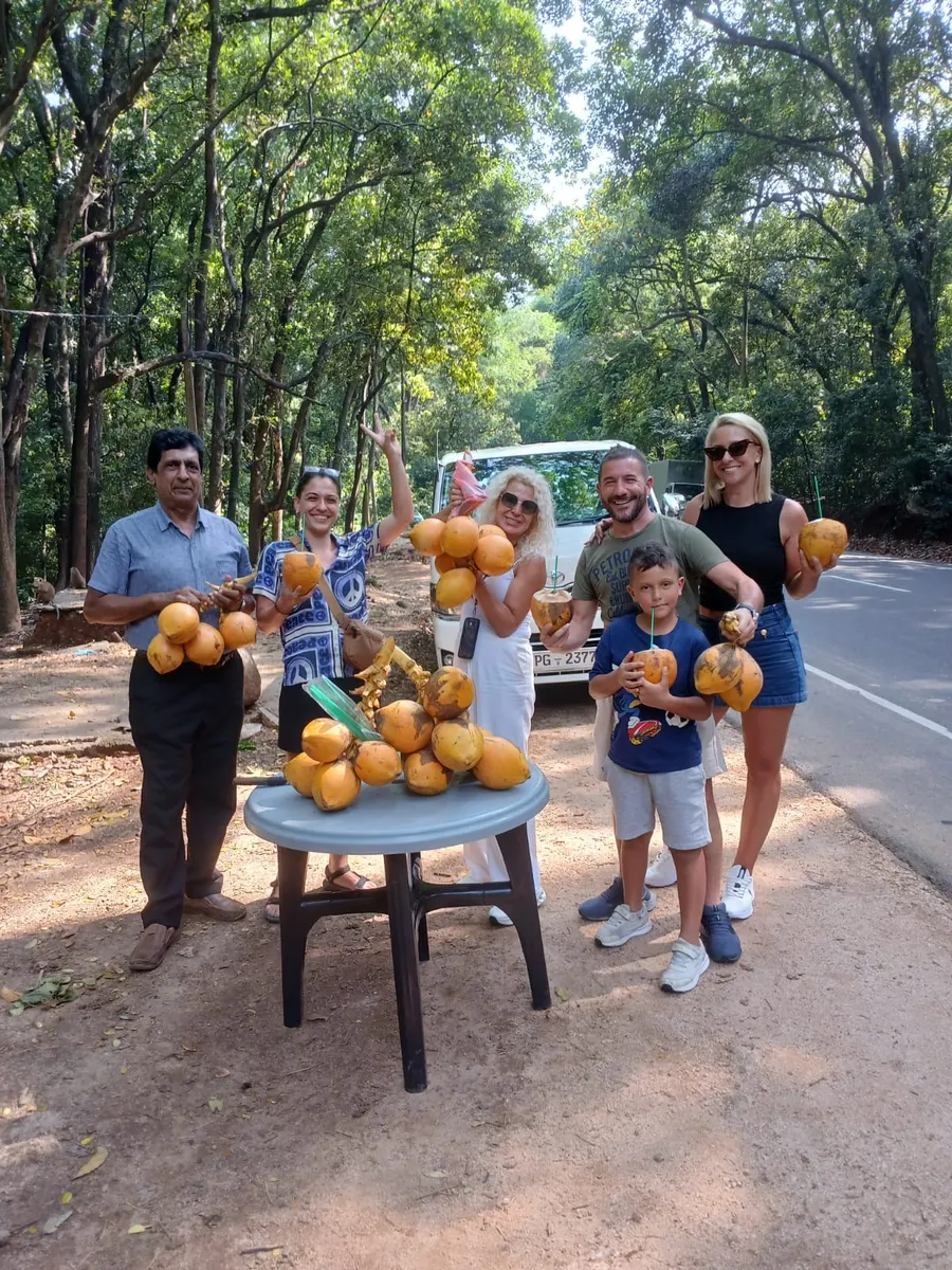 King coconut roadside stop, Sri Lanka